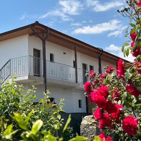 Vila Bloom Vama Veche Exteriör bild