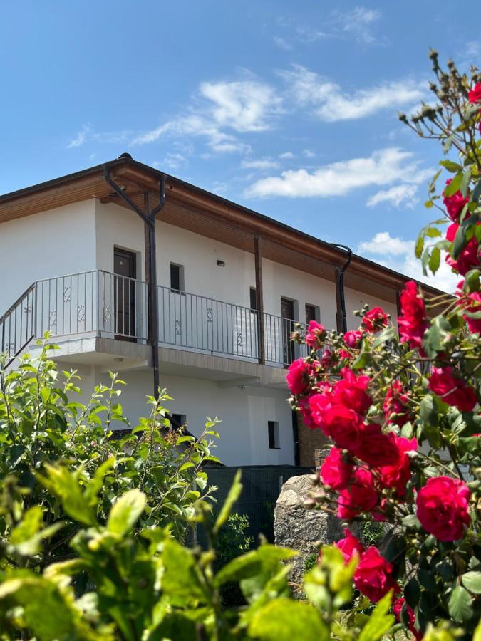 Vila Bloom Vama Veche Exteriör bild