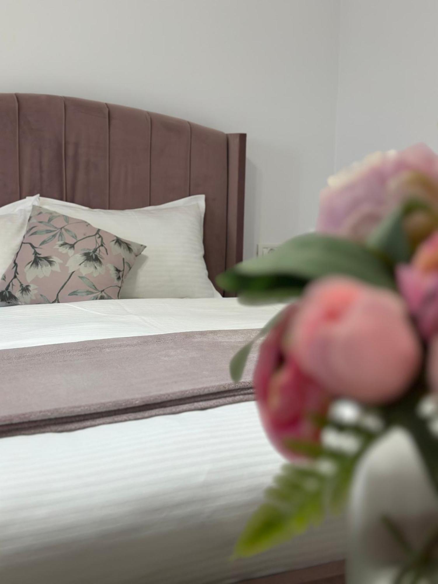 Vila Bloom Vama Veche Exteriör bild